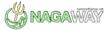 cropped-nagaway-logo.webp